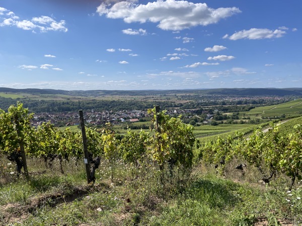 landscape with a small town down in a valley between vineyards