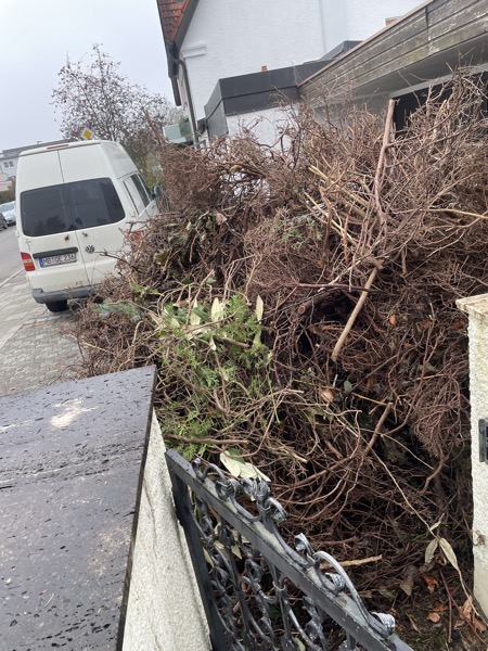 tangle of twigs and branches against an iron gate, some houses and a white van in the background